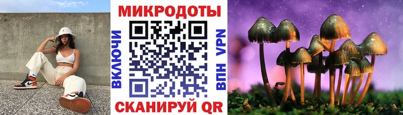 Псилоцибиновые грибы мицелий  Мышкин 